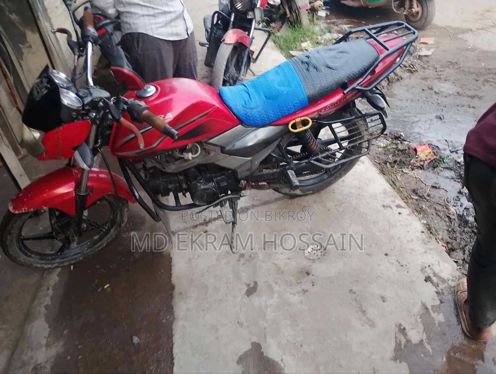 Znen T9 2019 Red