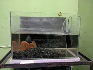 Crystal Glass Aquarium and Fish