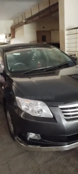 Toyota Axio 2011 Gray