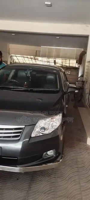 Toyota Axio 2011 Gray