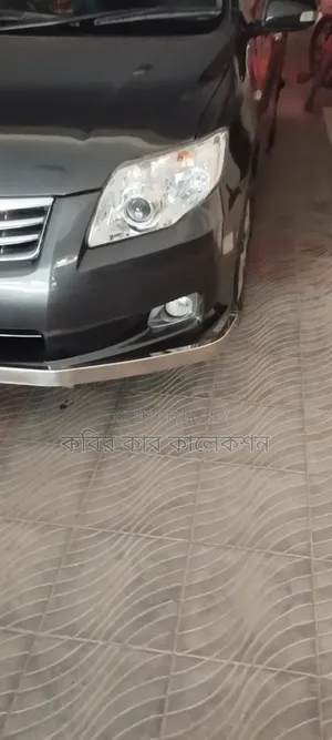 Toyota Axio 2011 Gray