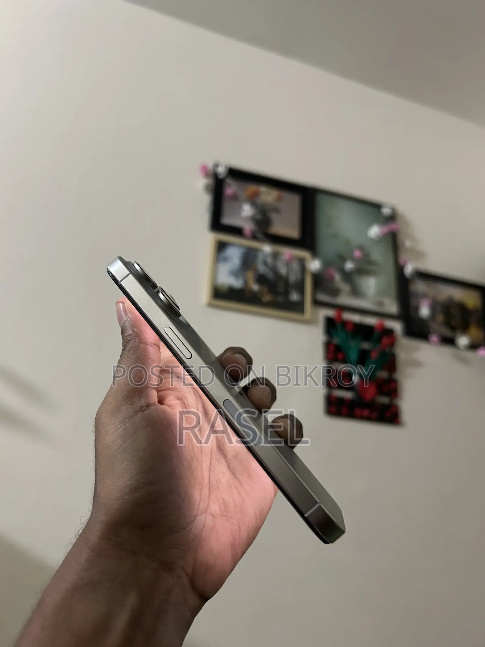 অ্যাপল আইফোন ১৫ প্রো ম্যাক্স ২৫৬ জিবি সিলভার