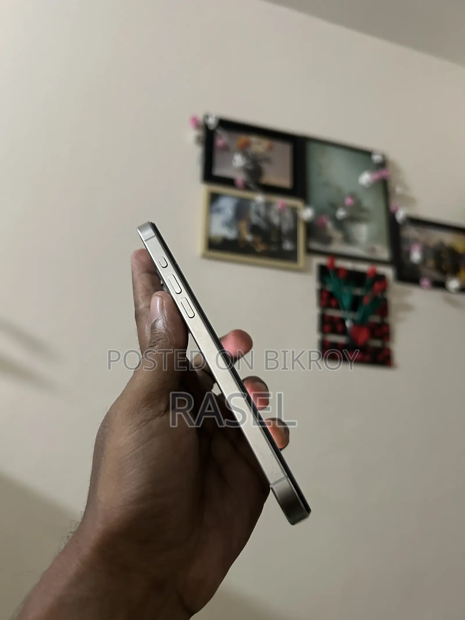 অ্যাপল আইফোন ১৫ প্রো ম্যাক্স ২৫৬ জিবি সিলভার