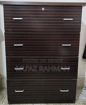4 Layer Wardrobe One Month Use