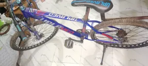 Bicycle for Sale