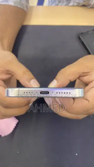 অ্যাপল আইফোন ১৫ প্রো ম্যাক্স ২৫৬ জিবি সিলভার