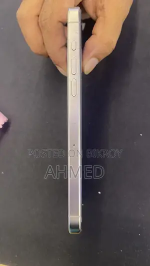 অ্যাপল আইফোন ১৫ প্রো ম্যাক্স ২৫৬ জিবি সিলভার