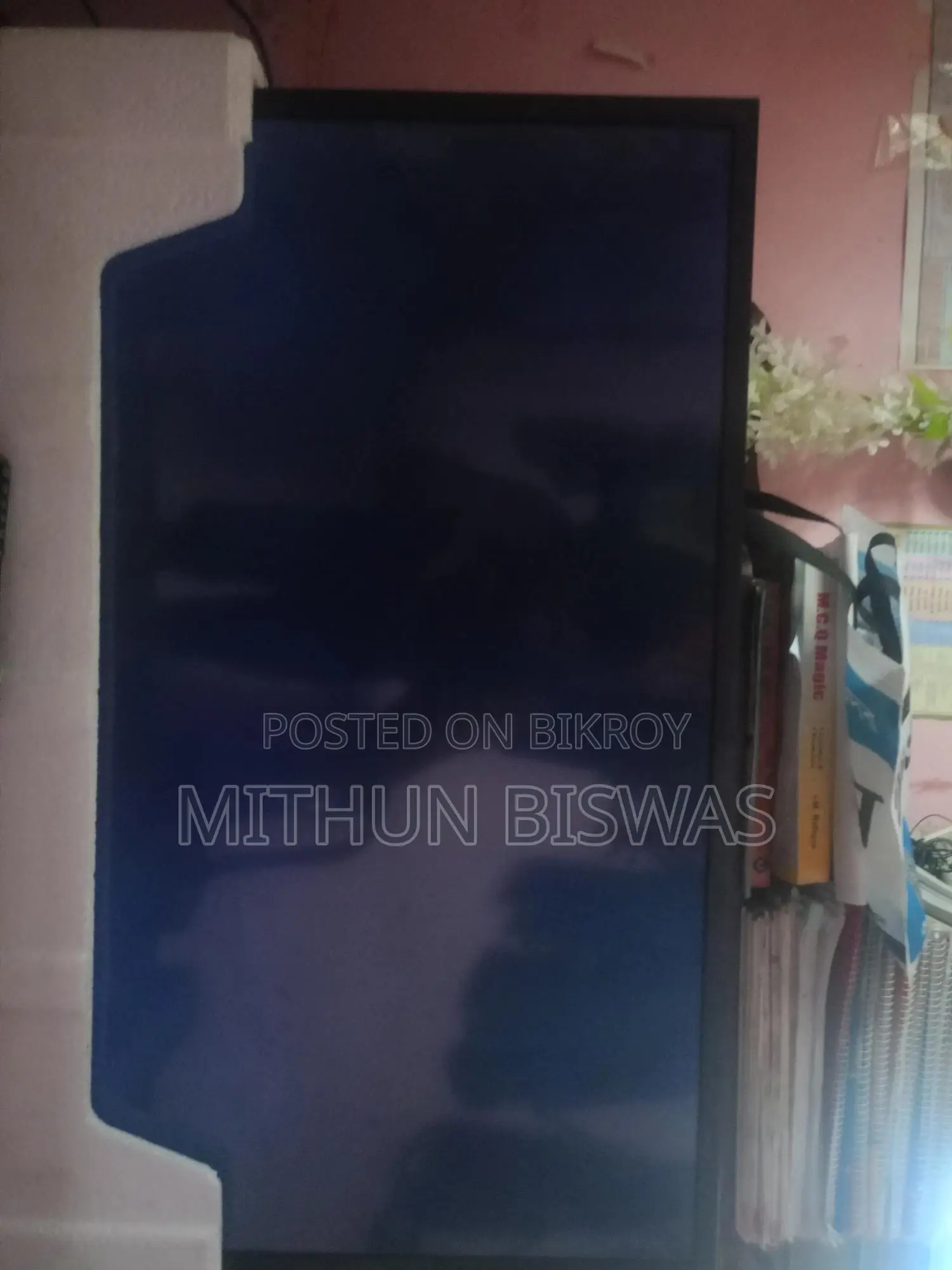 Television