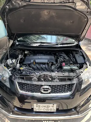 Toyota Corolla Fielder 2010 Black