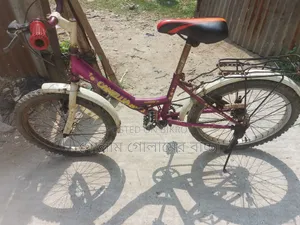 20 Size Bicycle