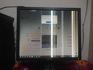 Dell Monitor