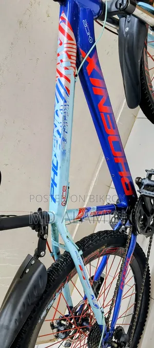 Phoenix 02 Sell Hobe