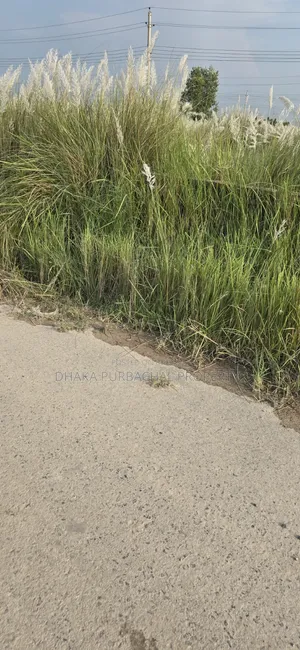 Rajuk Purbachal Sector 5 South Facing Three Katha Plot for Sale