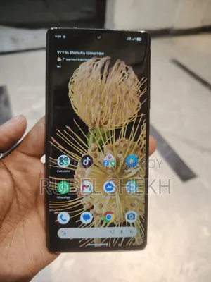 গুগল পিক্সেল ৬ প্রো ২৫৬ জিবি গ্রে