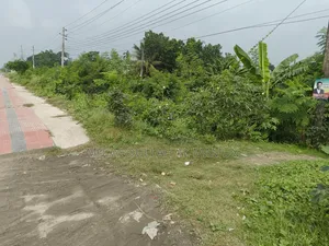 Land for sale in front of Narail Passport Office
