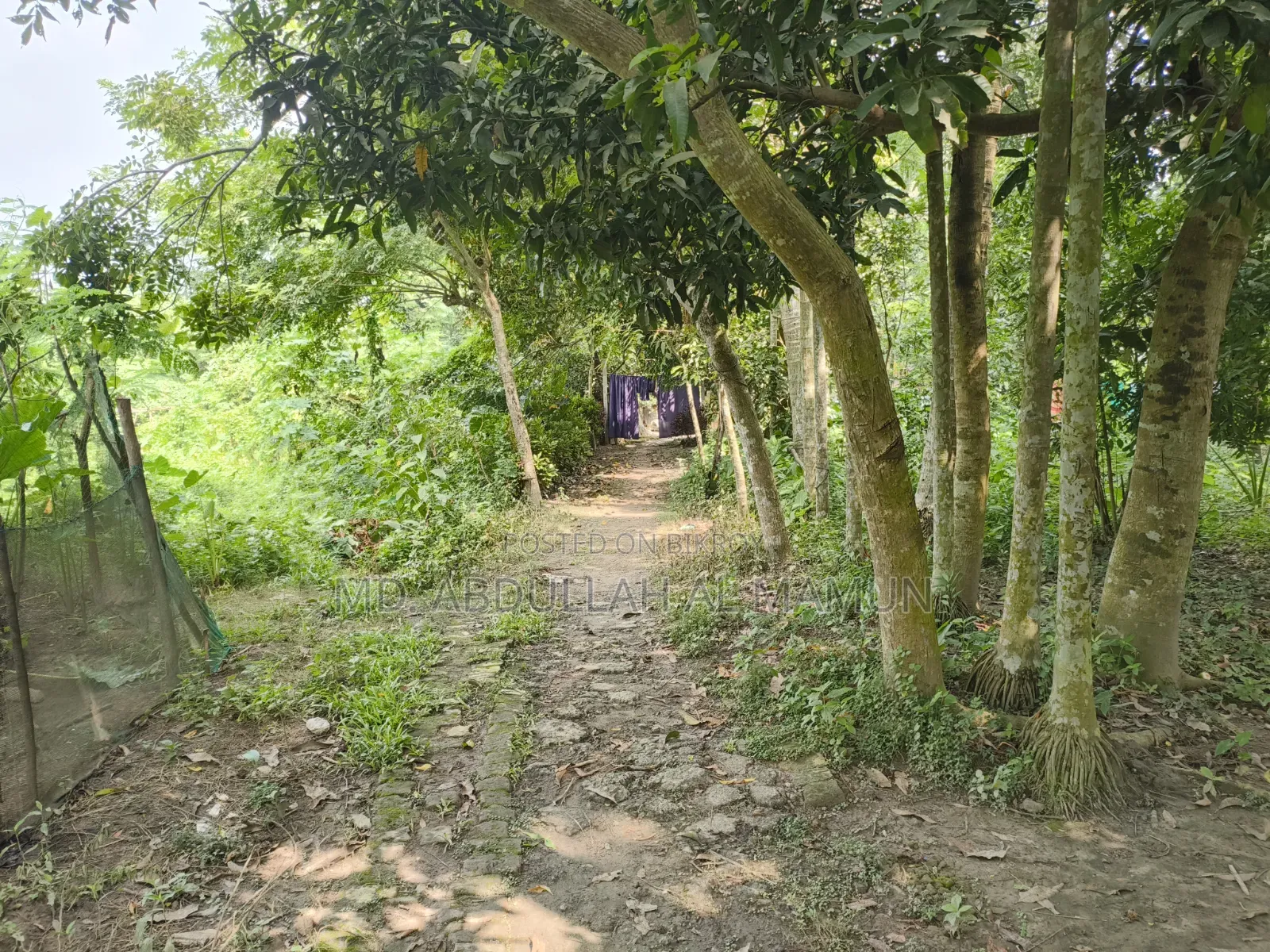 Land for sale in front of Narail Passport Office