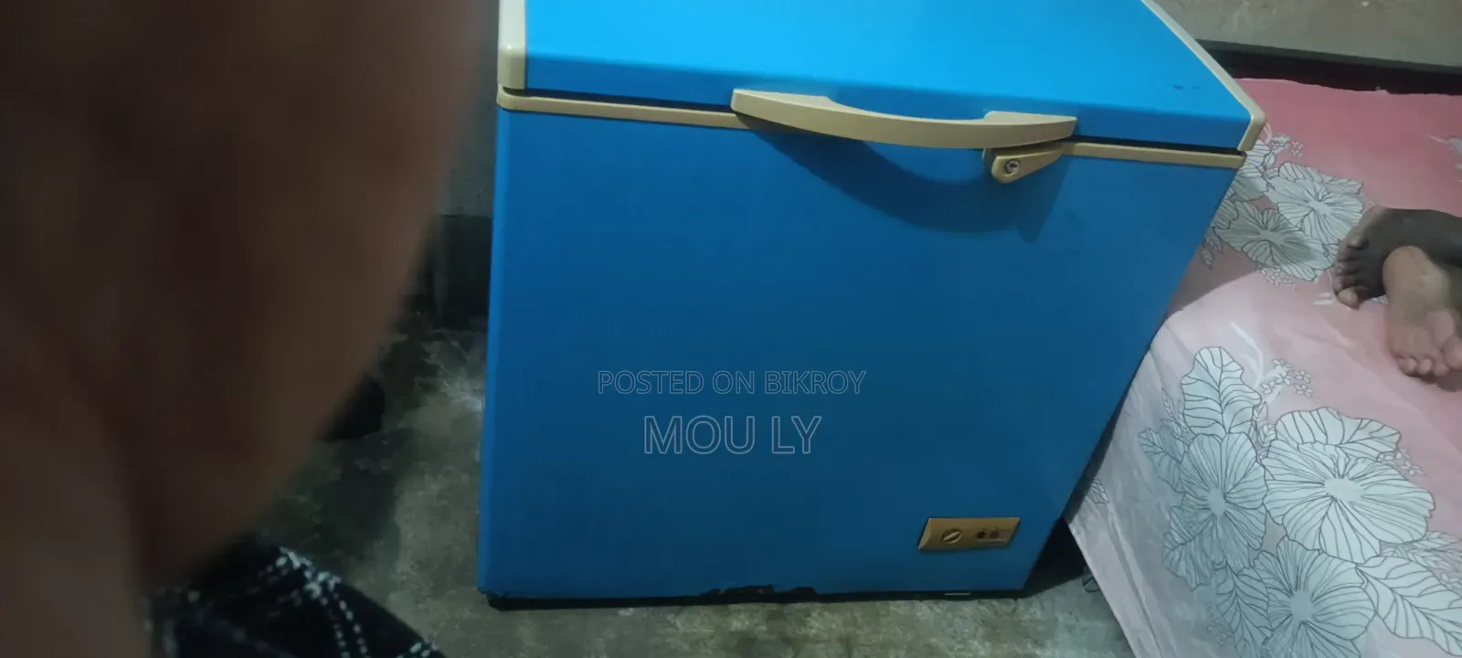 Goldstar Brand Freezer (Deep Fridge). Premium Brand