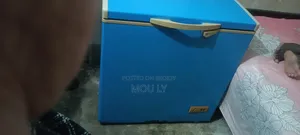 Goldstar Brand Freezer (Deep Fridge). Premium Brand