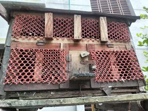 কালডম ২ টা খোপ সহ