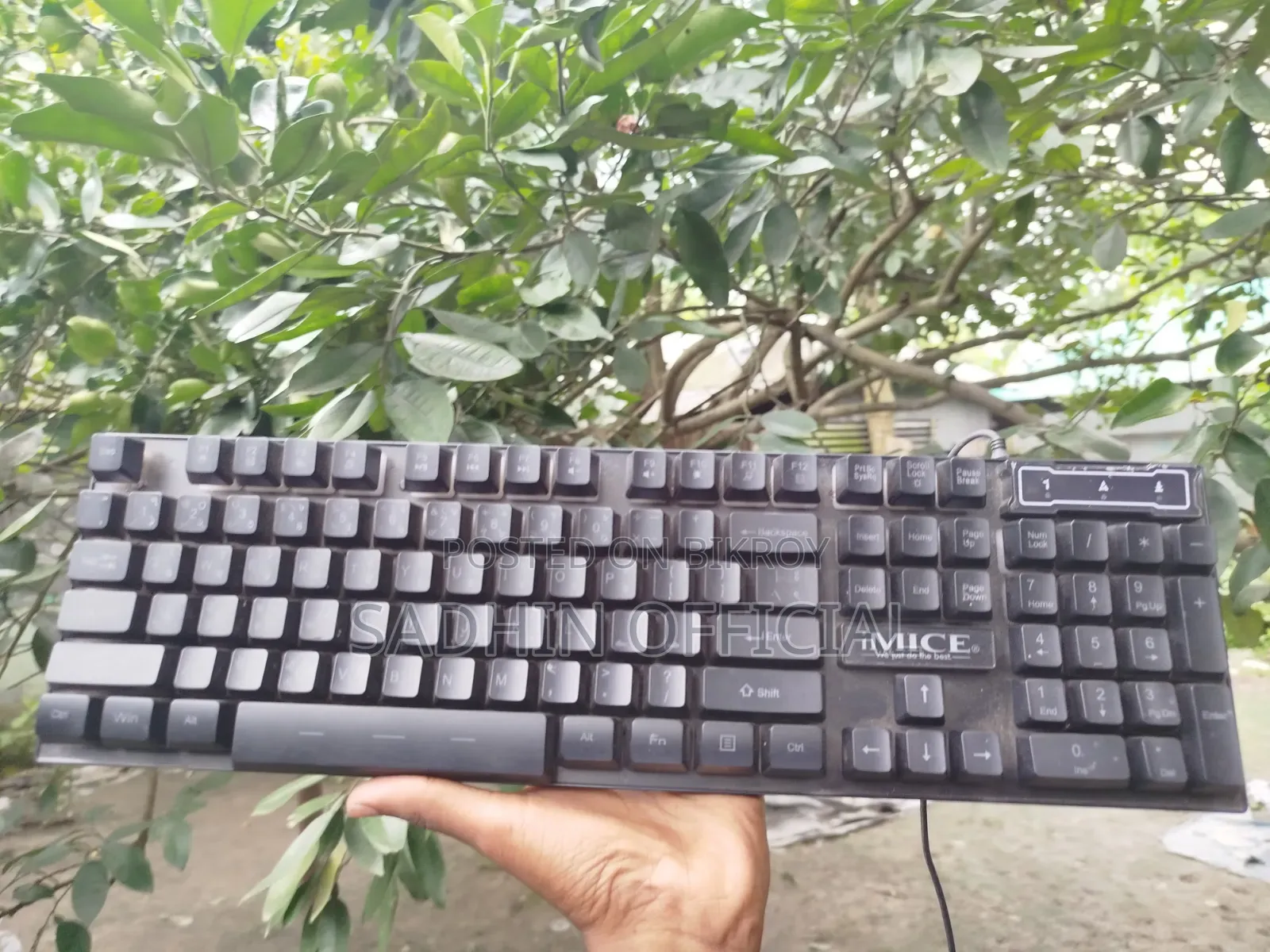 Keyboard Mouse