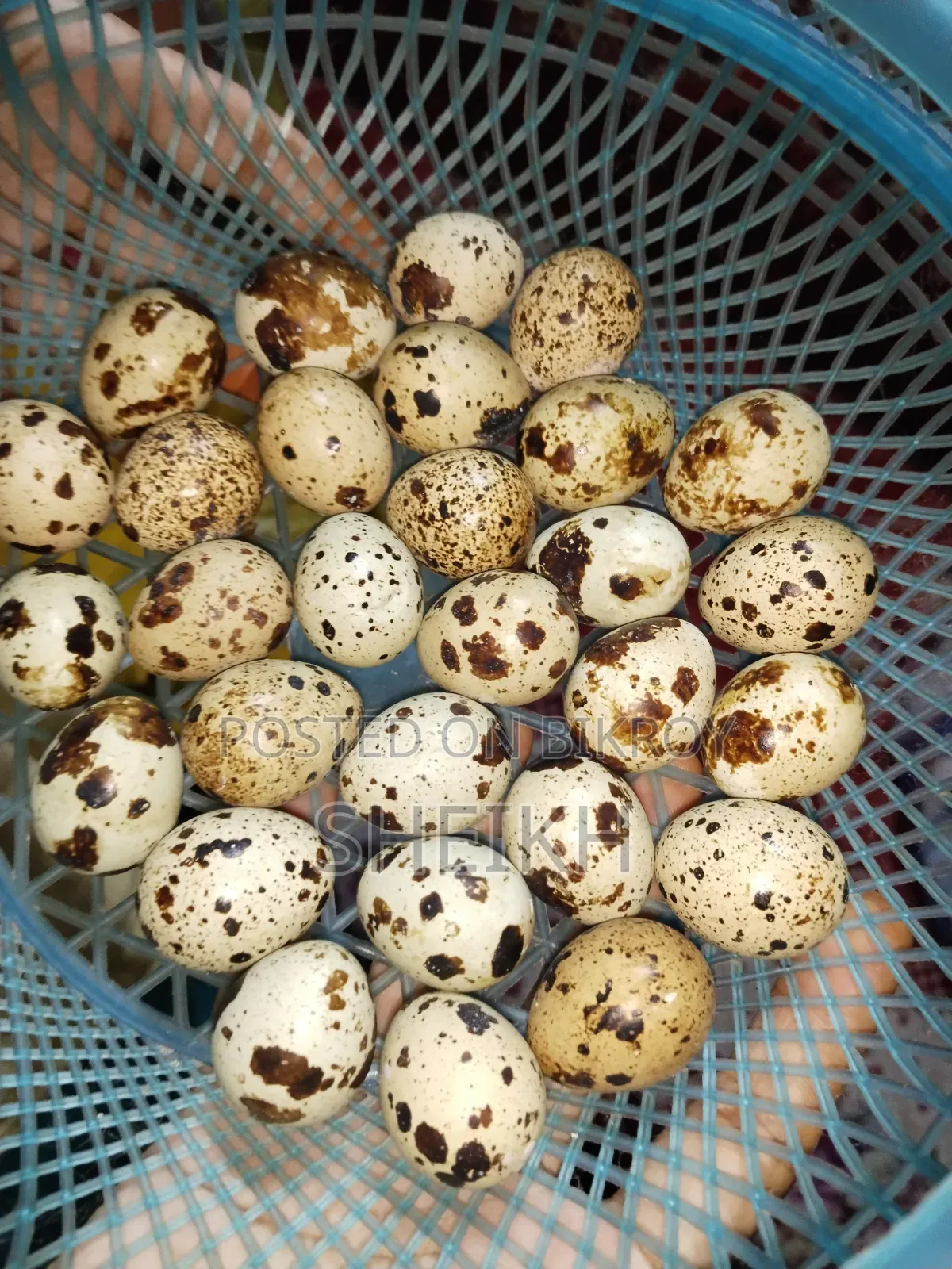 105 Quail Eggs 350 Taka