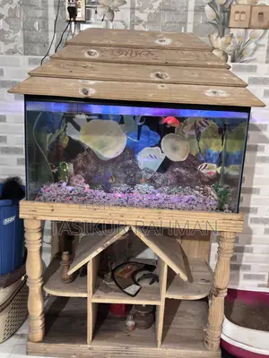 Aquarium for Sell Bhola Sadar