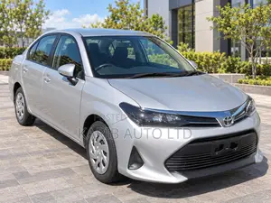 Toyota Axio 2022 Silver