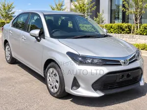 Toyota Axio 2022 Silver