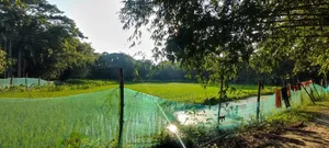 Urgent Land for Sale!