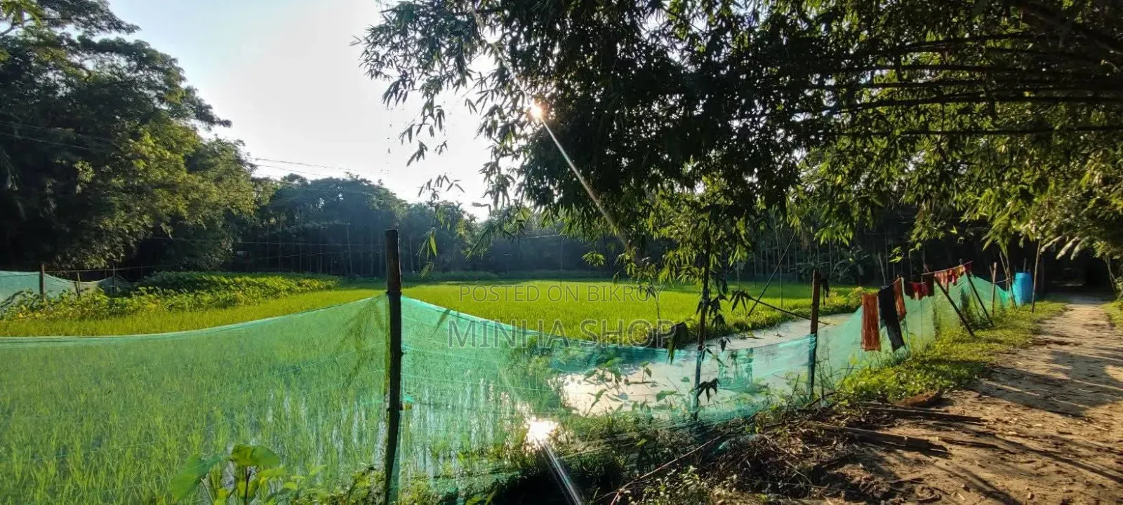 Urgent Land for Sale!