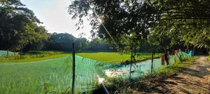 Urgent Land for Sale!