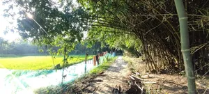 Urgent Land for Sale!
