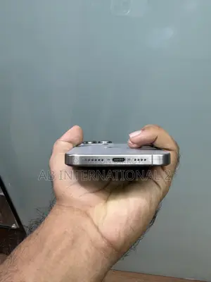 Apple iPhone 15 Pro Max 256 GB Gray