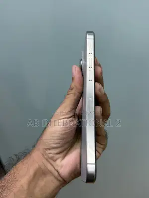 Apple iPhone 15 Pro Max 256 GB Gray