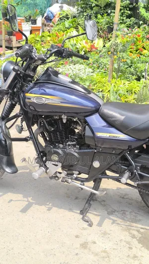 Bajaj Avenger 150 Street 2018 Blue