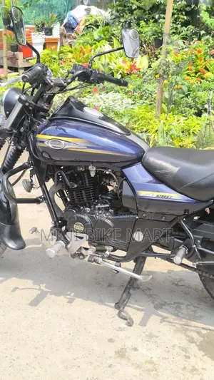 Bajaj Avenger 150 Street 2017 Blue