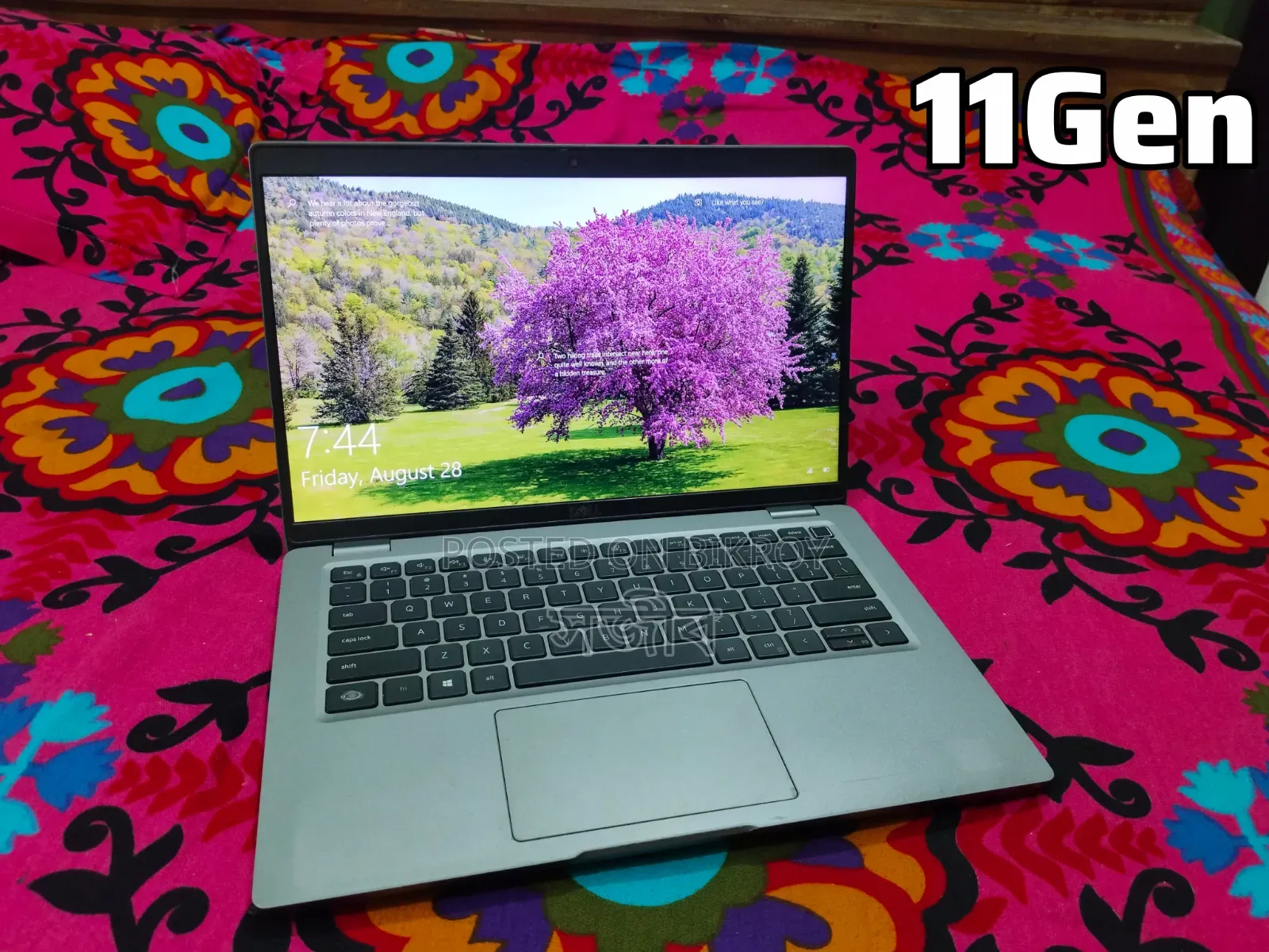 Laptop Dell Latitude 5420 8GB Intel Core i5 SSD 256GB