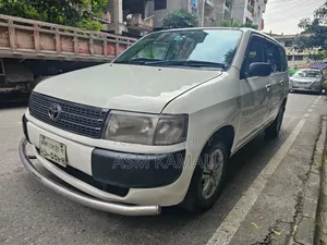 Toyota Probox 2003 Pearl