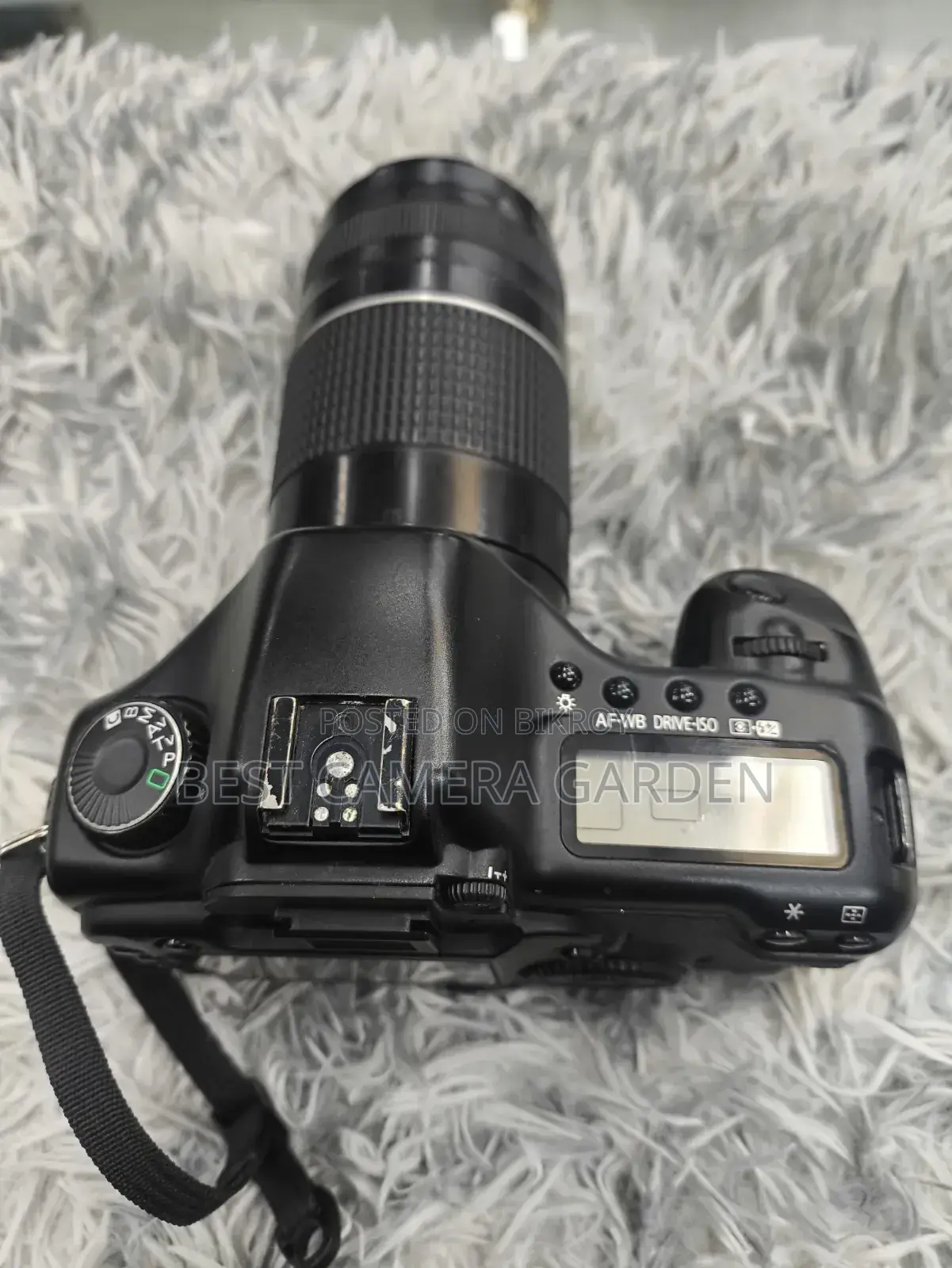 Canon 5D Classic With 75-300mm Zoom Lens
