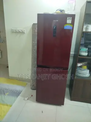 স্যামসাং ২১৮ লিটার বটম মাউন্ট ফ্রস্ট রেফ্রিজারেটর (RB21)