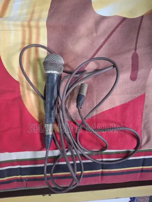 Professional Microphone Stand With Microphone