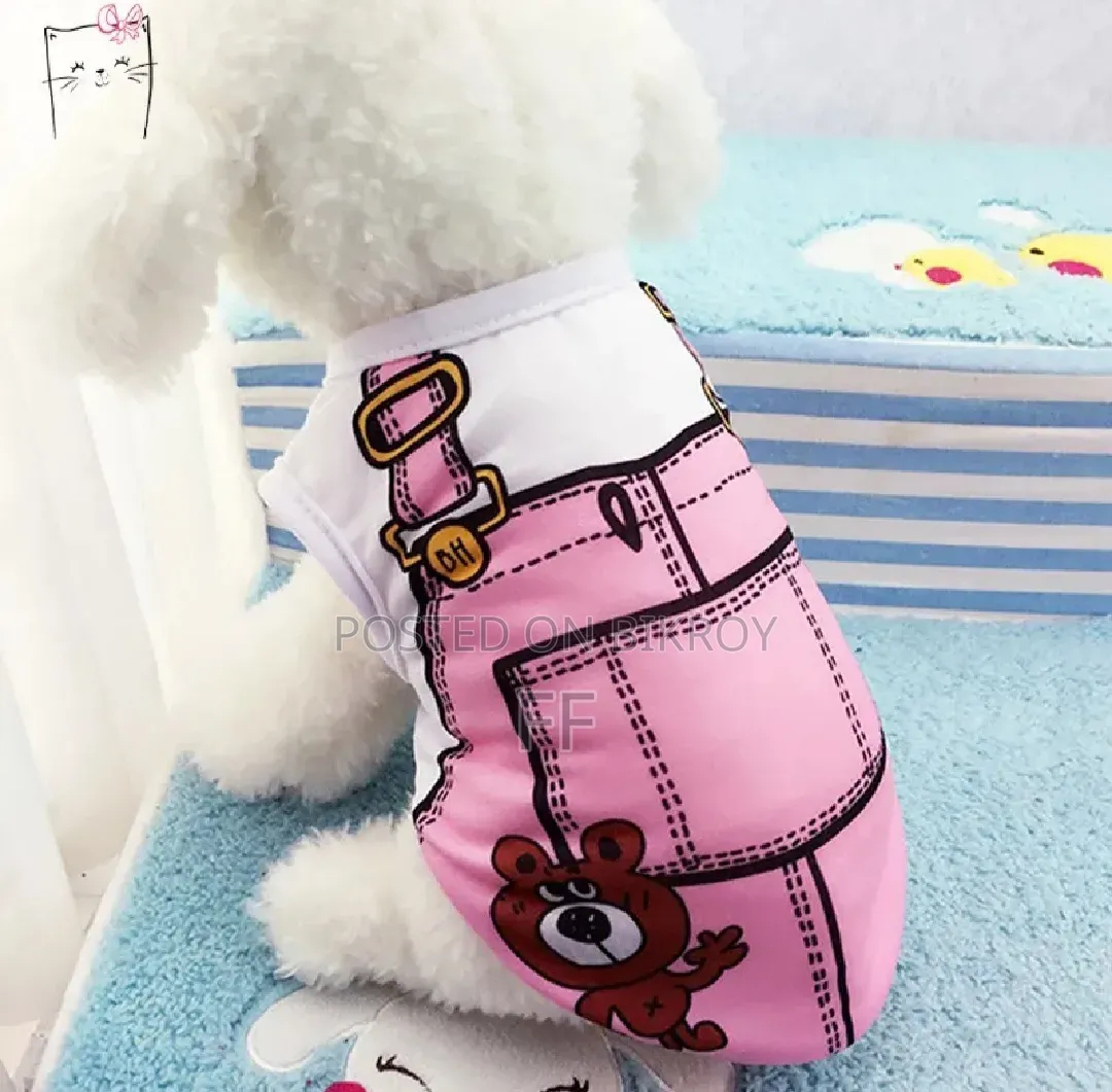 Cat clothes.