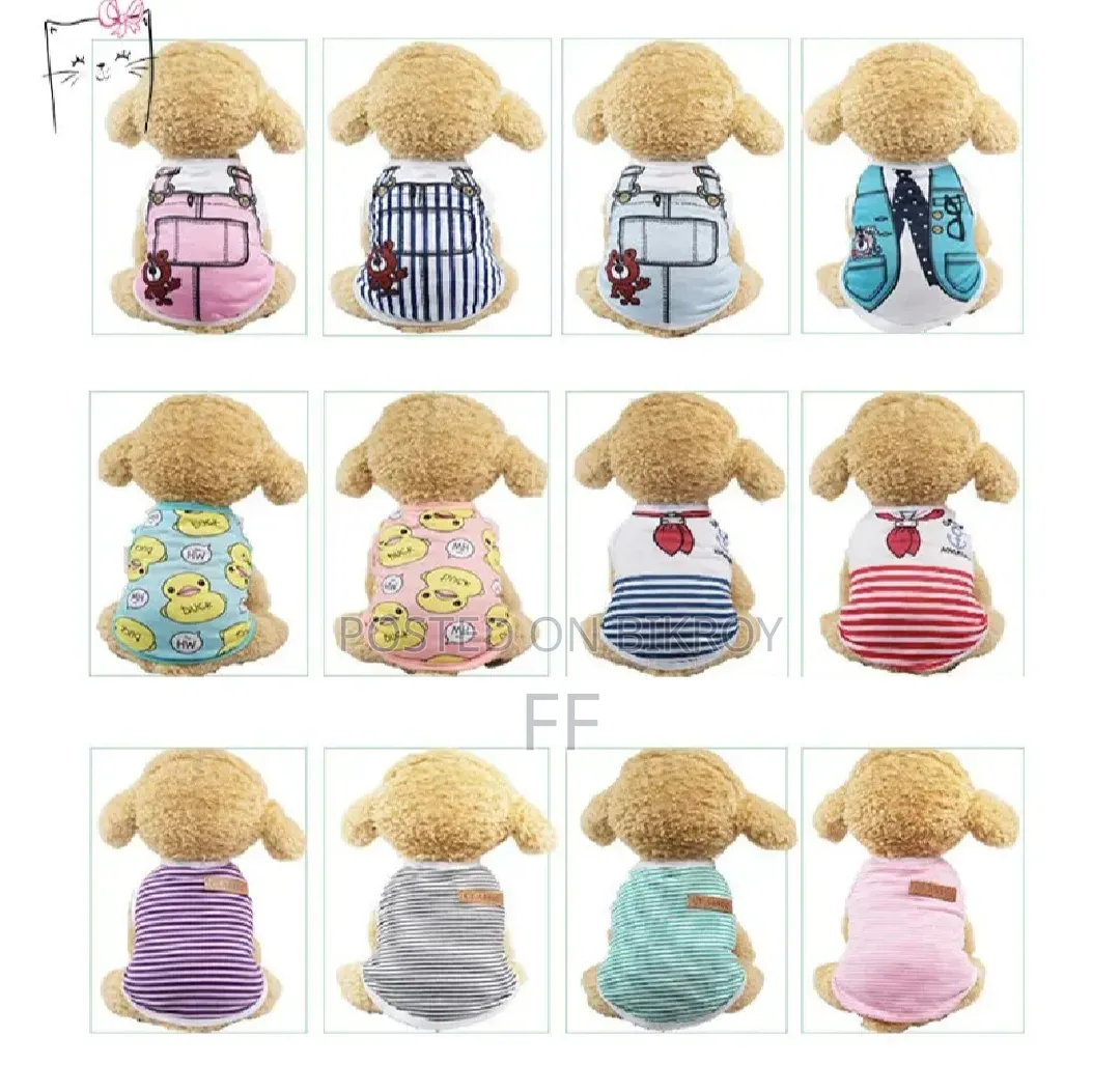 Cat clothes.