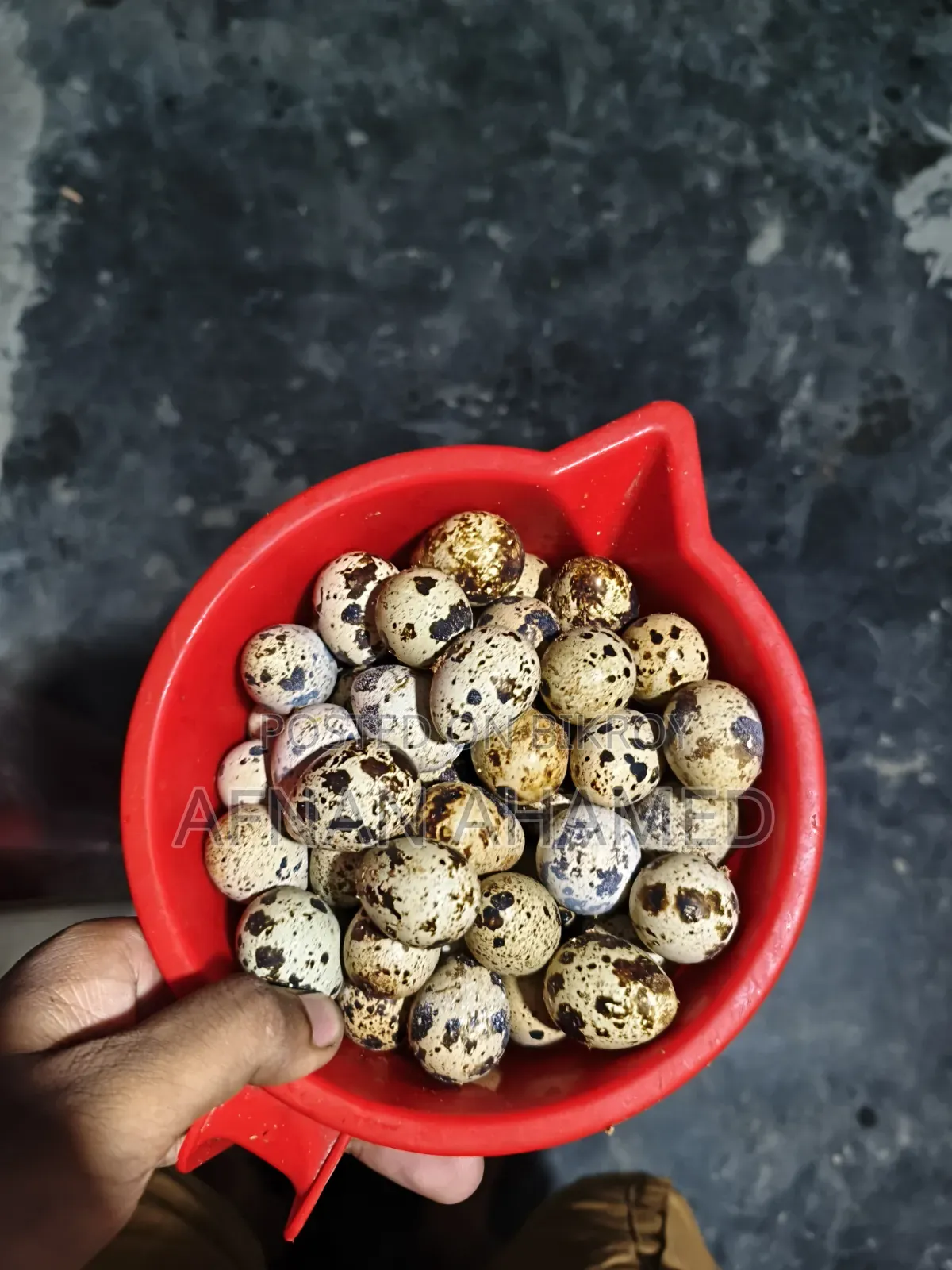 Quail eggs will be sold.