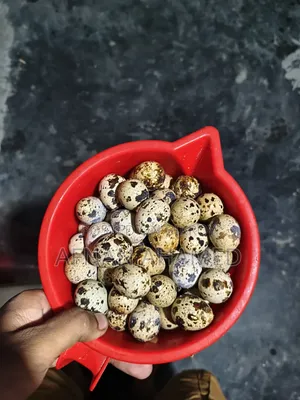 Quail eggs will be sold.