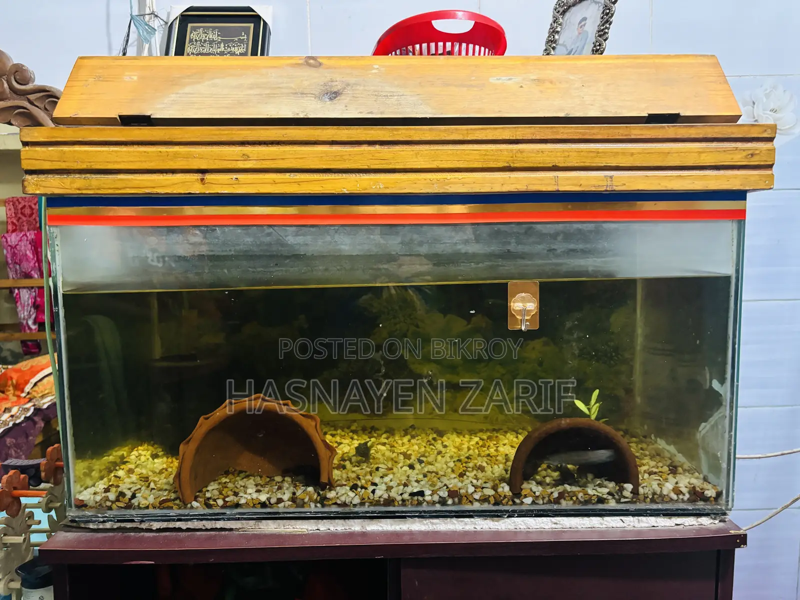 মাছসহ ফিক্সড দামে অ্যাকোরিয়াম বিক্রি