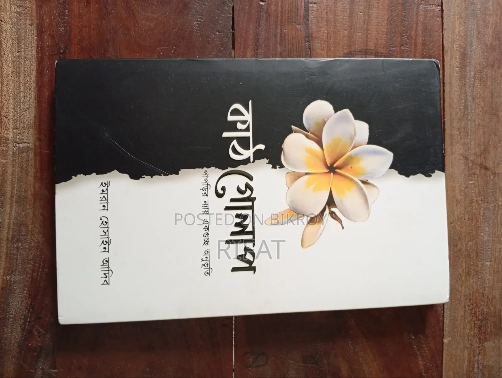 Novel: Kathgolap
