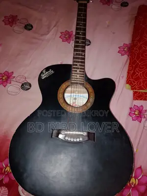 Indian Signature 265 Model.