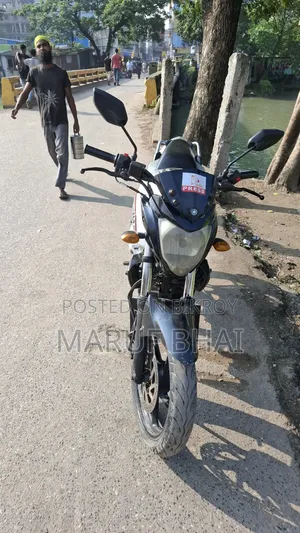 Yamaha FZ 2010 Gray