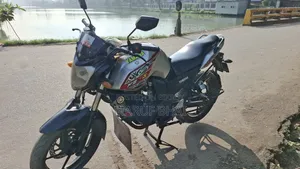 Yamaha FZ 2010 Gray